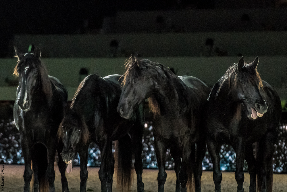 Lorenzo 20171126-1818