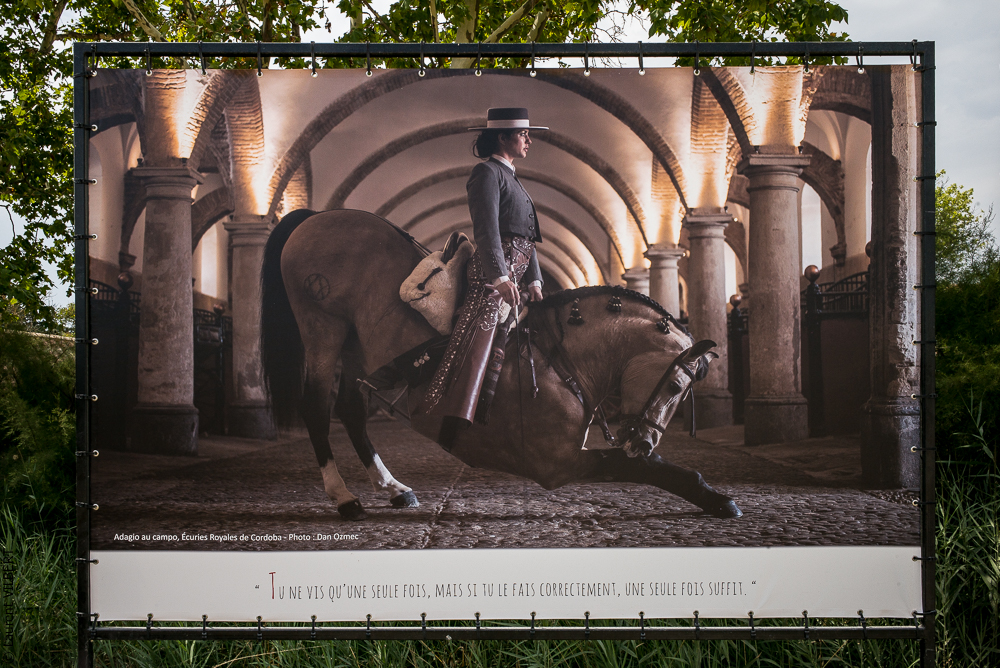 Méjanes 20170721-001