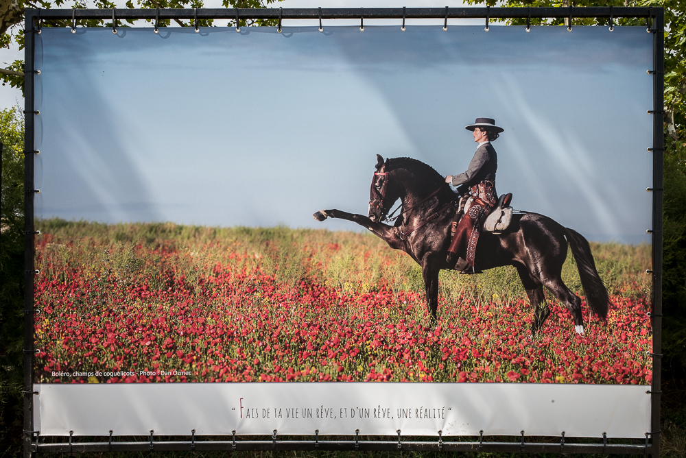 Méjanes 20170721-003