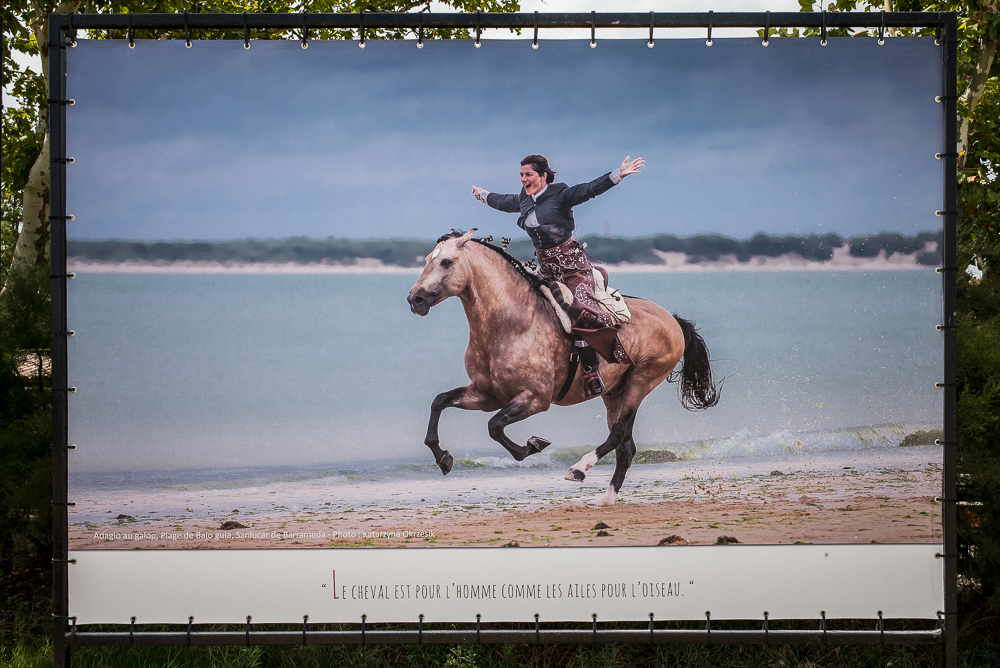 Méjanes 20170721-004