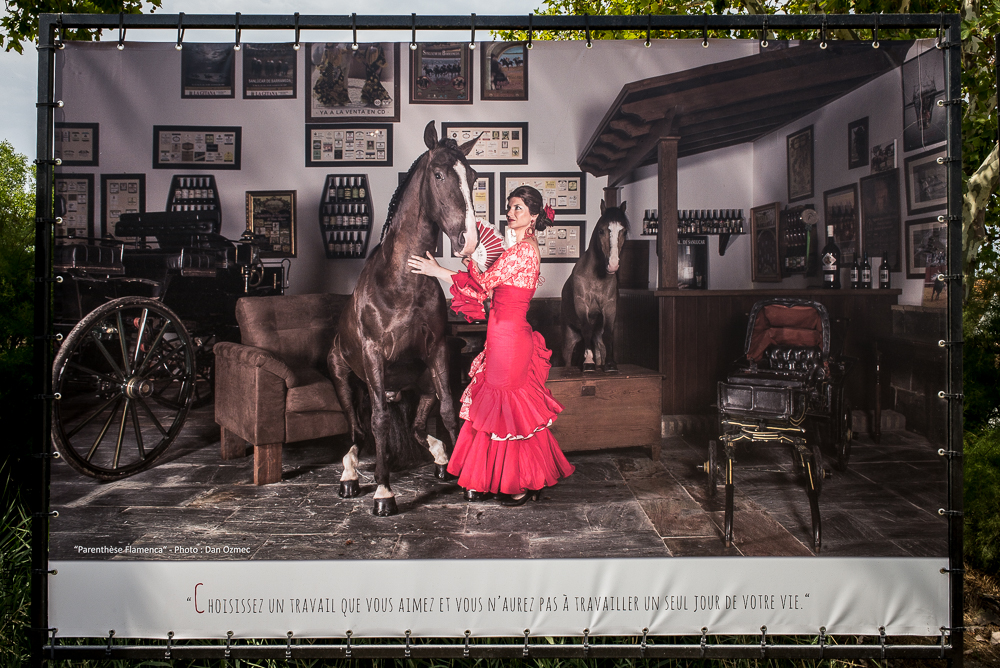 Méjanes 20170721-005