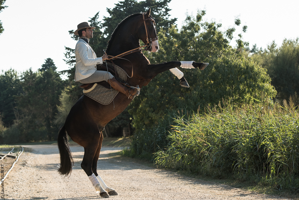 Méjanes 20170721-067