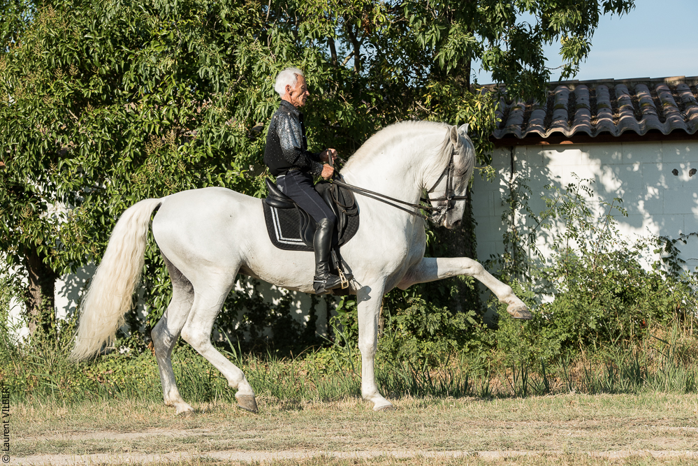 Méjanes 20170721-079