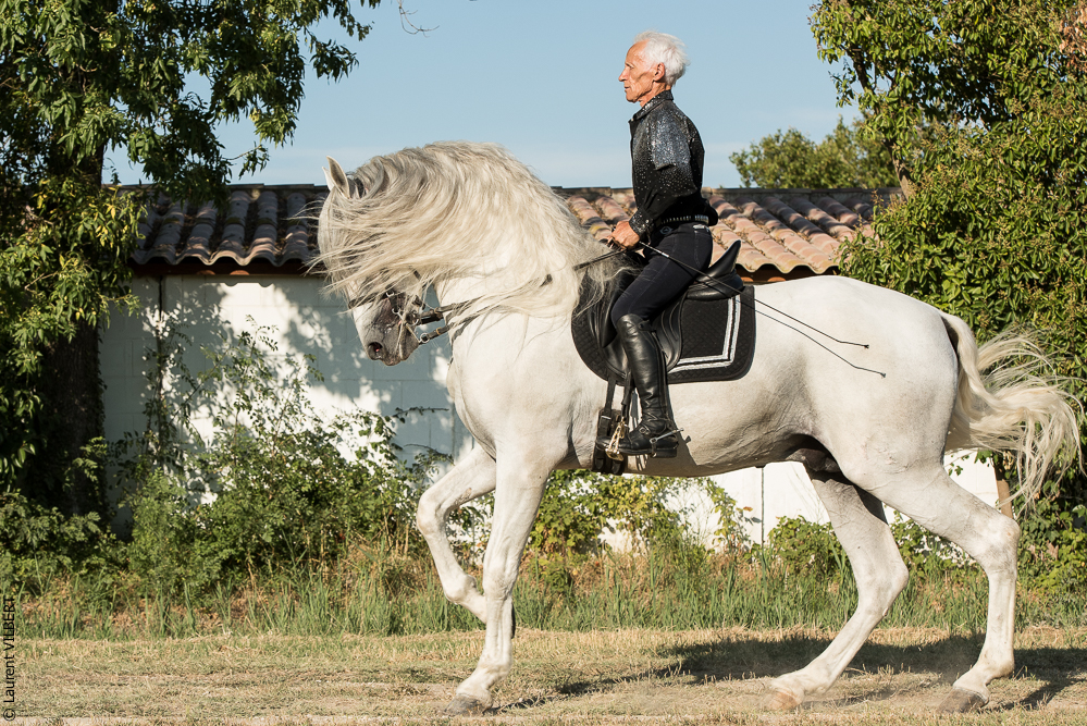 Méjanes 20170721-095