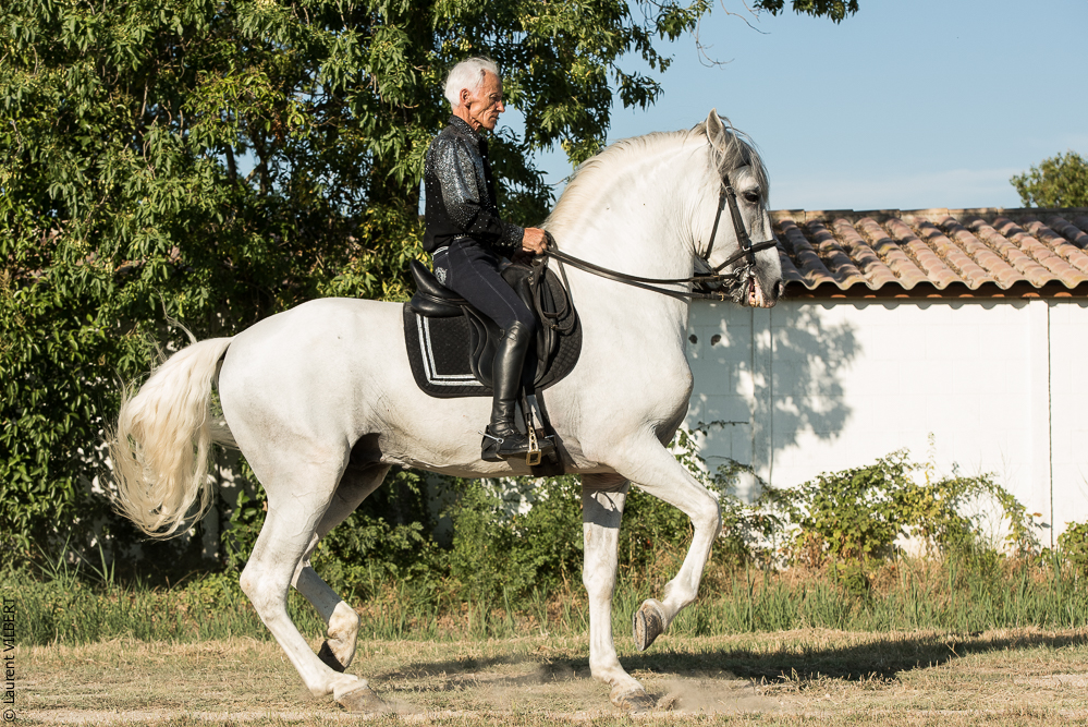 Méjanes 20170721-106