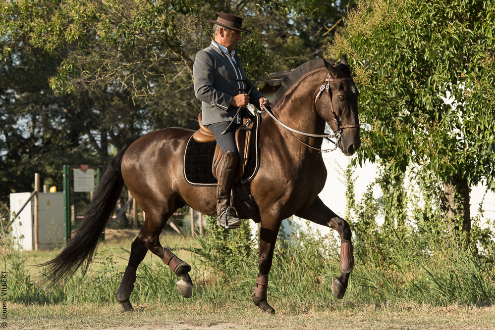 Méjanes 20170721-252