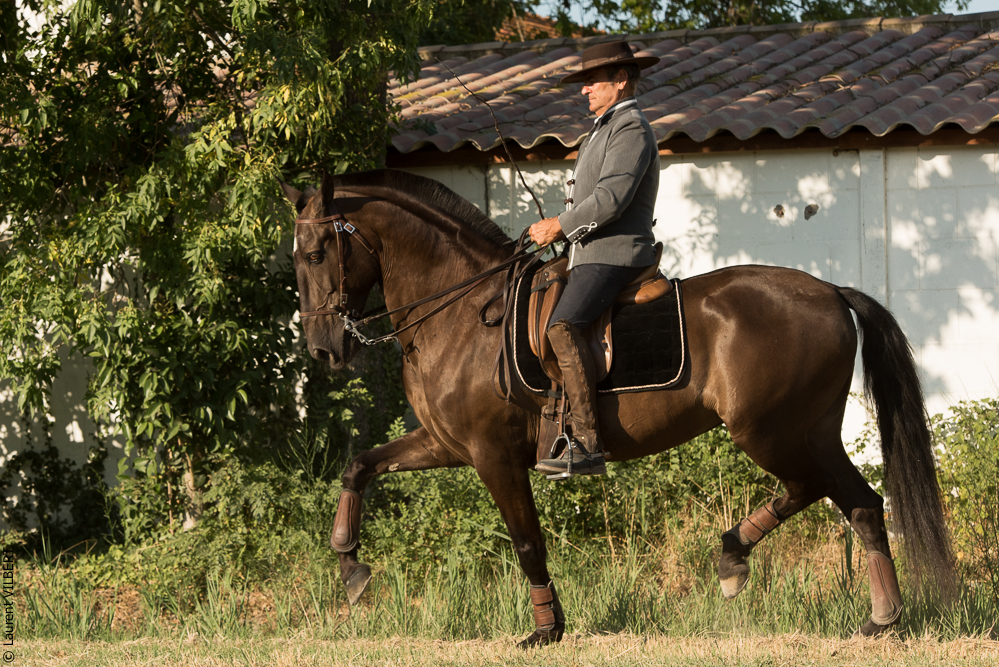 Méjanes 20170721-270