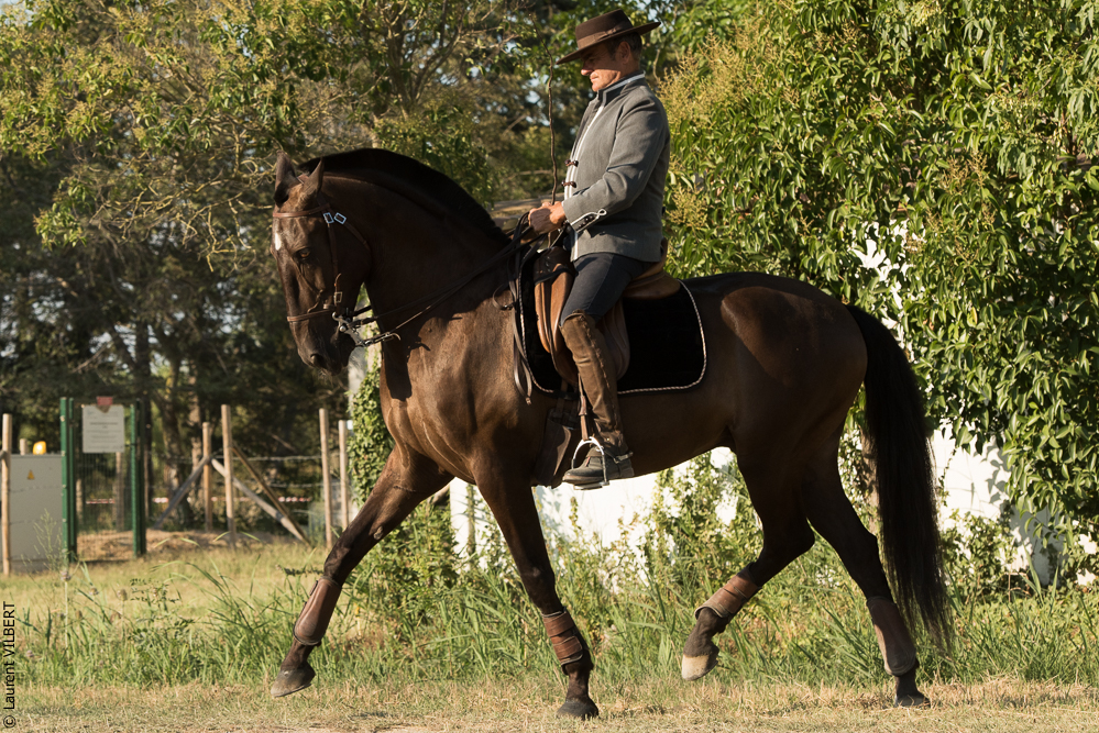 Méjanes 20170721-274