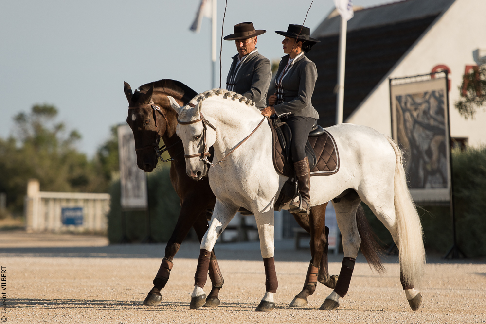 Méjanes 20170721-283