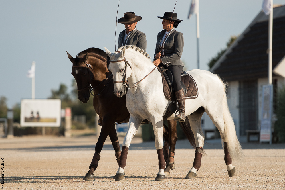 Méjanes 20170721-285