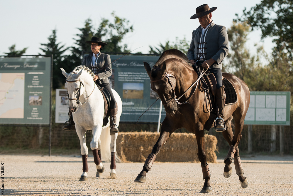 Méjanes 20170721-291