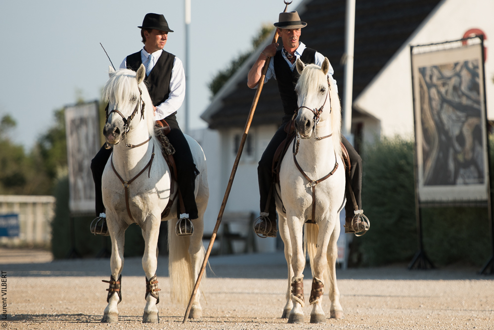 Méjanes 20170721-296