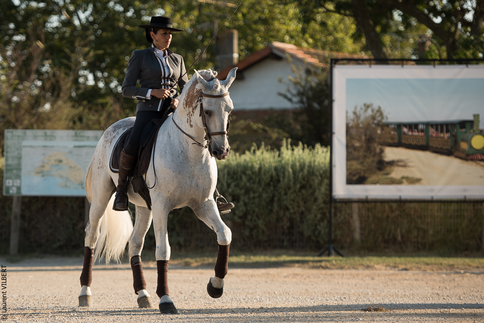 Méjanes 20170721-310