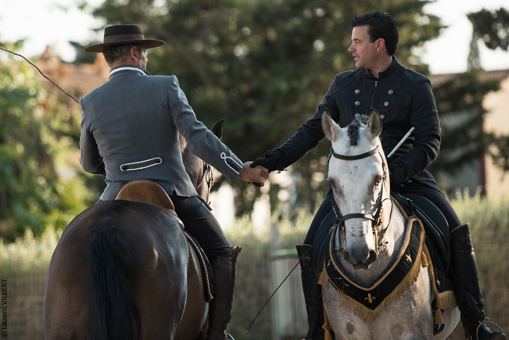 Méjanes 20170721-313