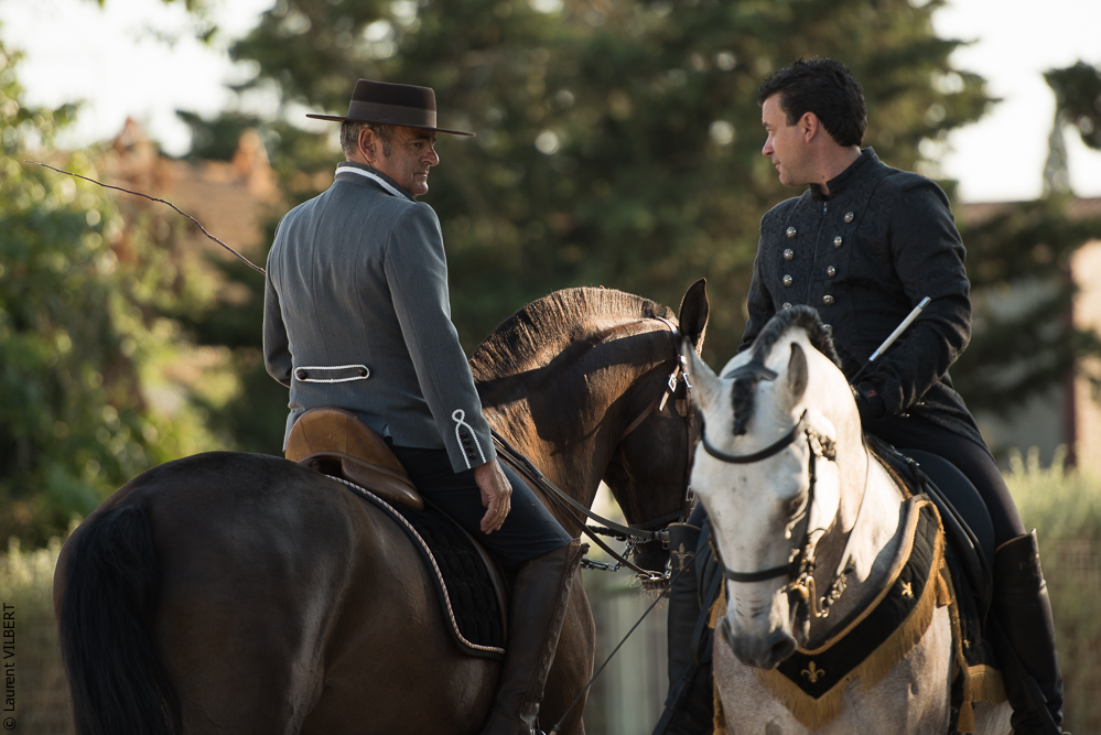 Méjanes 20170721-315