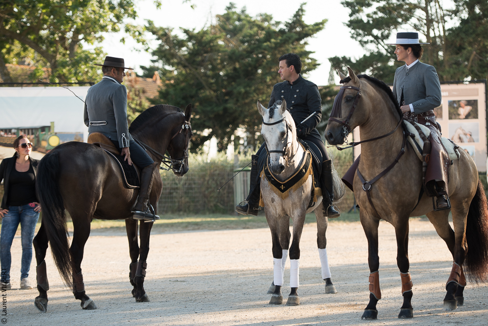 Méjanes 20170721-317