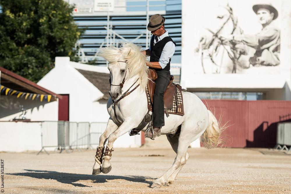 Méjanes 20170721-320