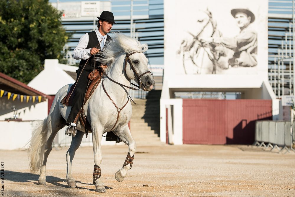 Méjanes 20170721-323