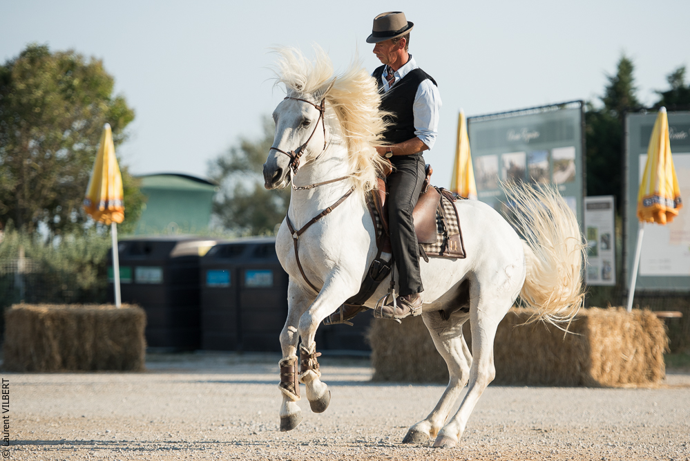 Méjanes 20170721-327