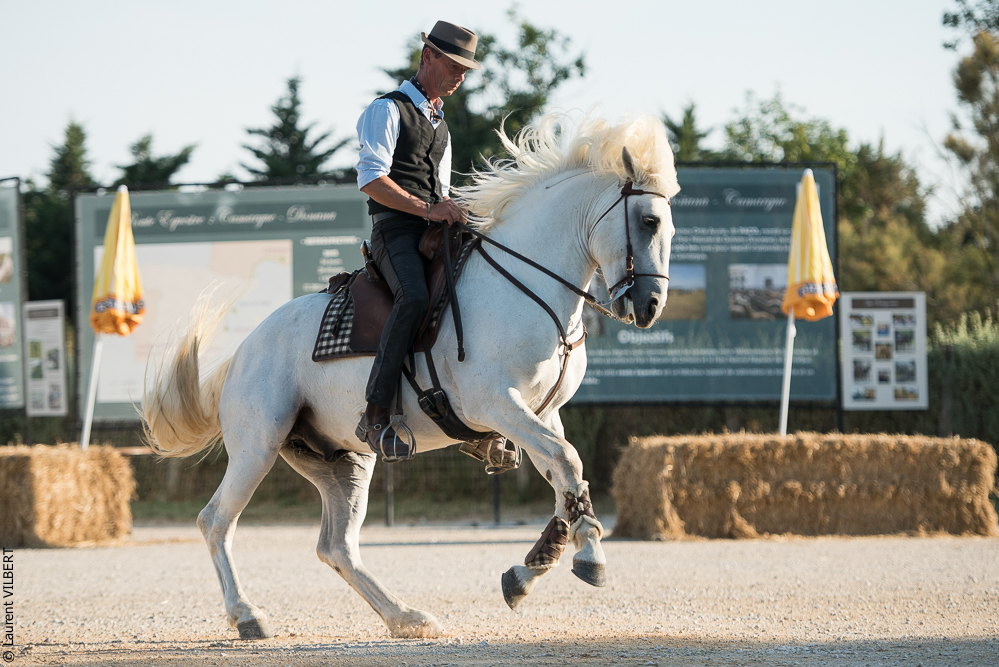 Méjanes 20170721-330