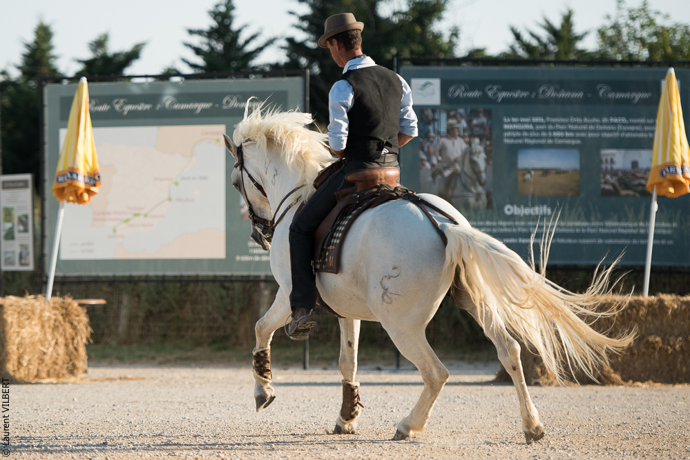 Méjanes 20170721-333