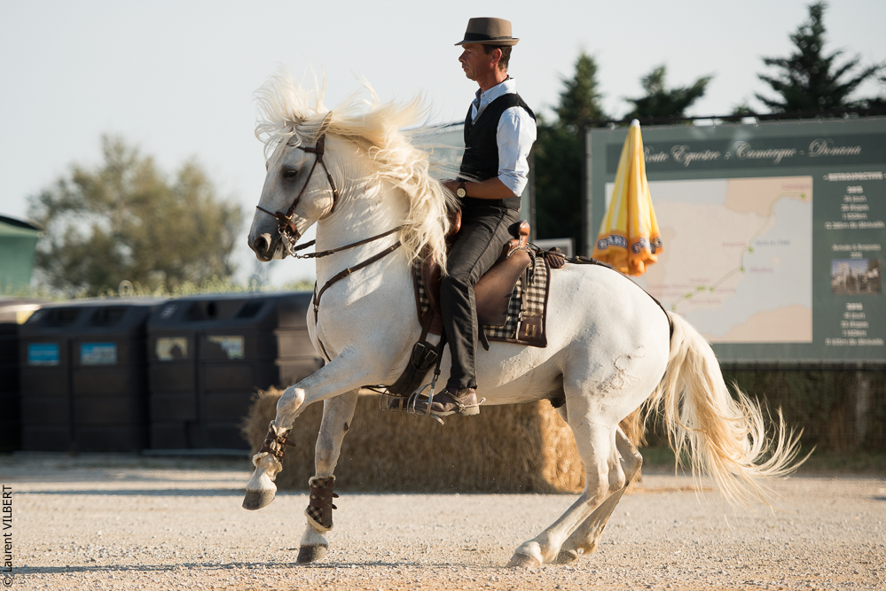 Méjanes 20170721-335