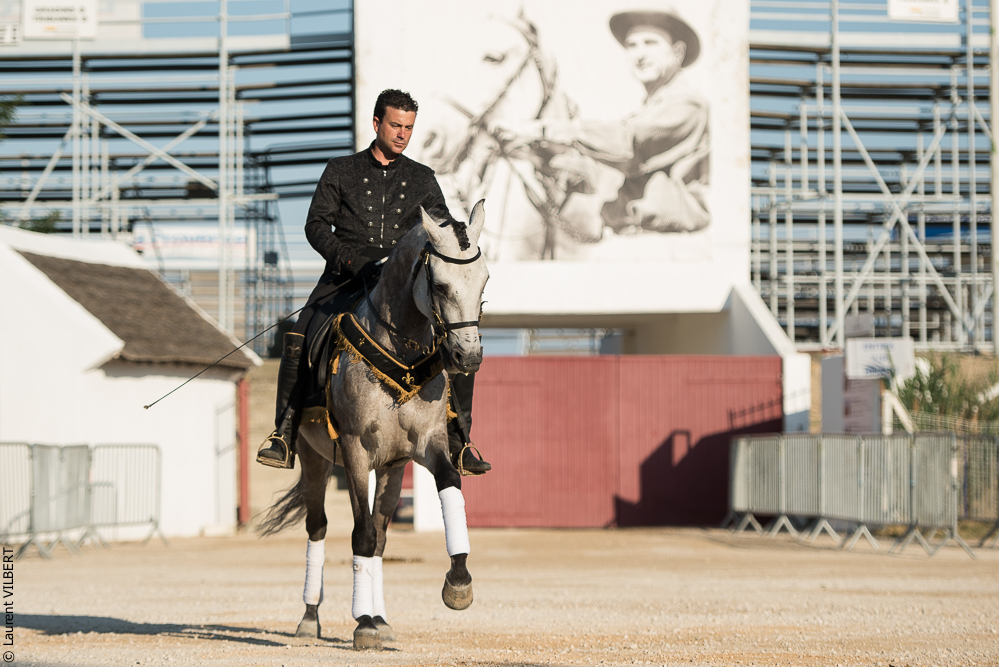 Méjanes 20170721-343