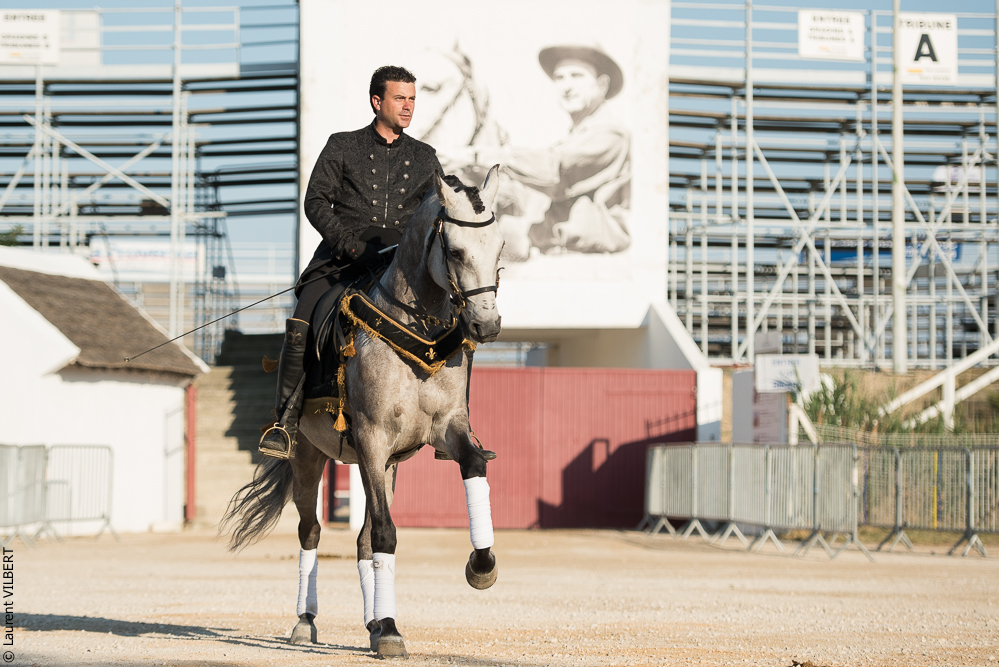 Méjanes 20170721-344
