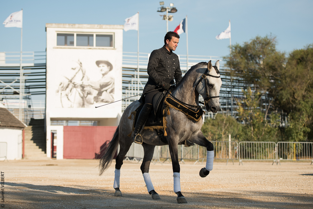 Méjanes 20170721-347