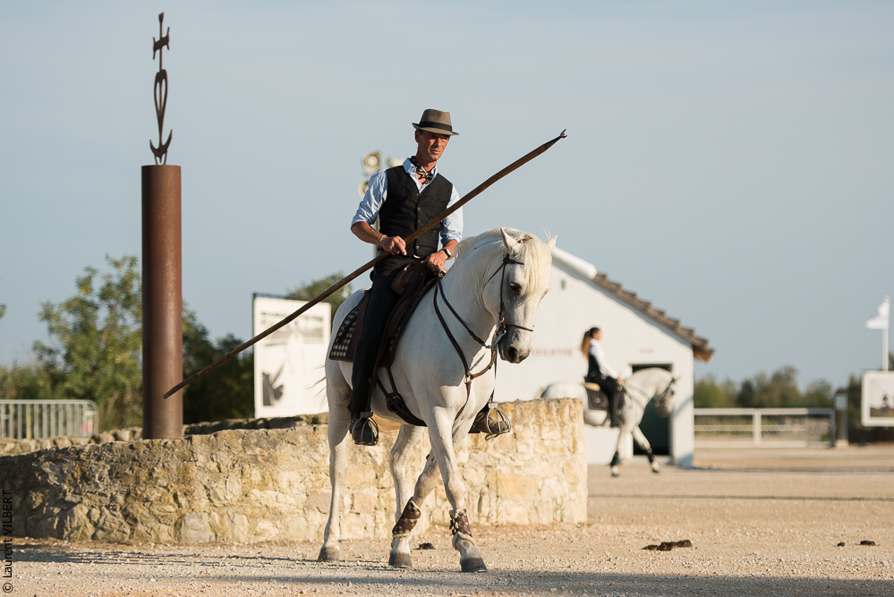 Méjanes 20170721-348