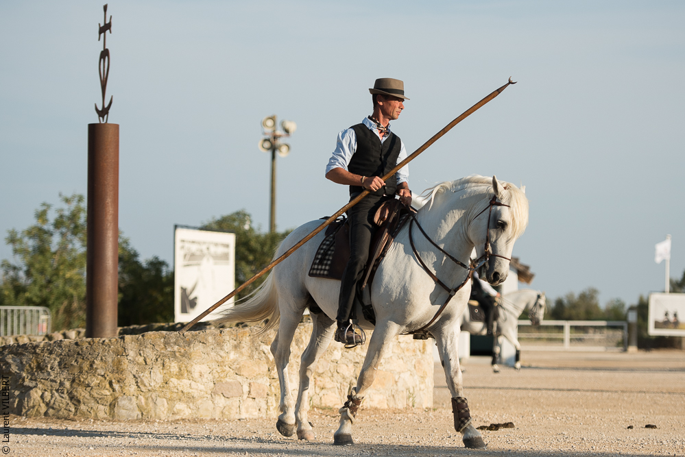Méjanes 20170721-349