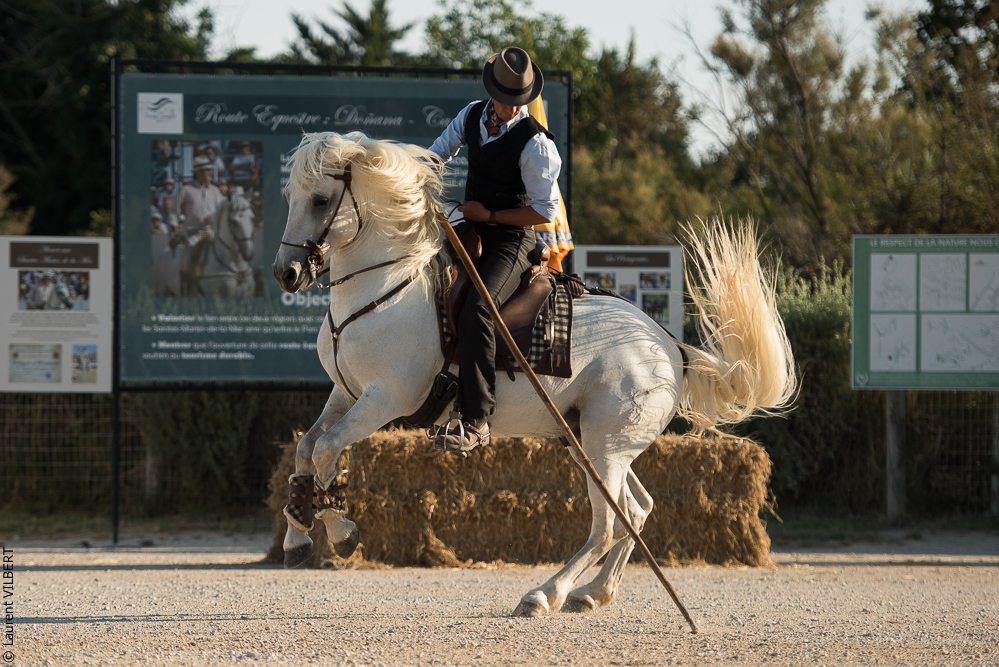Méjanes 20170721-355