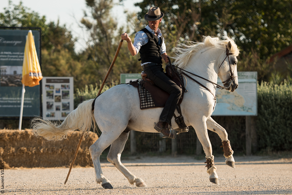 Méjanes 20170721-360
