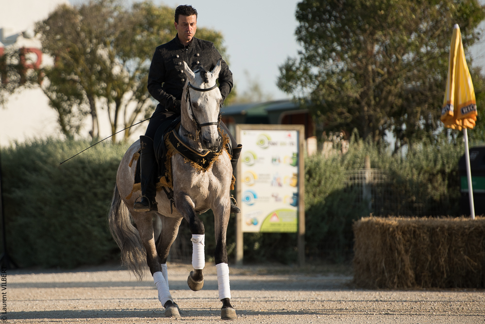 Méjanes 20170721-361