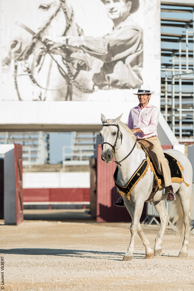 Méjanes 20170721-398