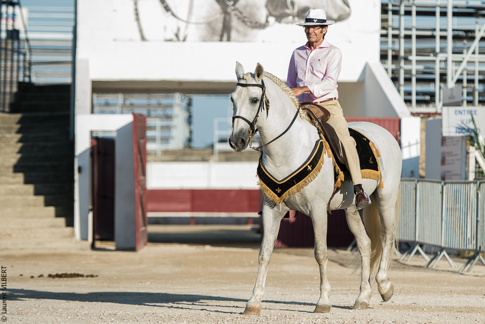 Méjanes 20170721-400