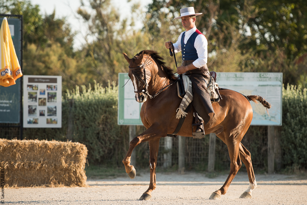 Méjanes 20170721-408