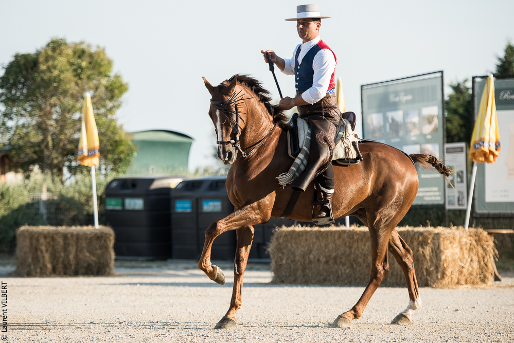 Méjanes 20170721-412