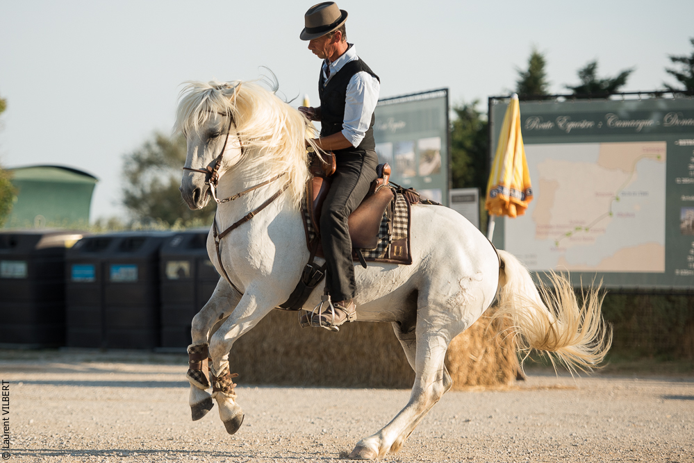 Méjanes 20170721-426