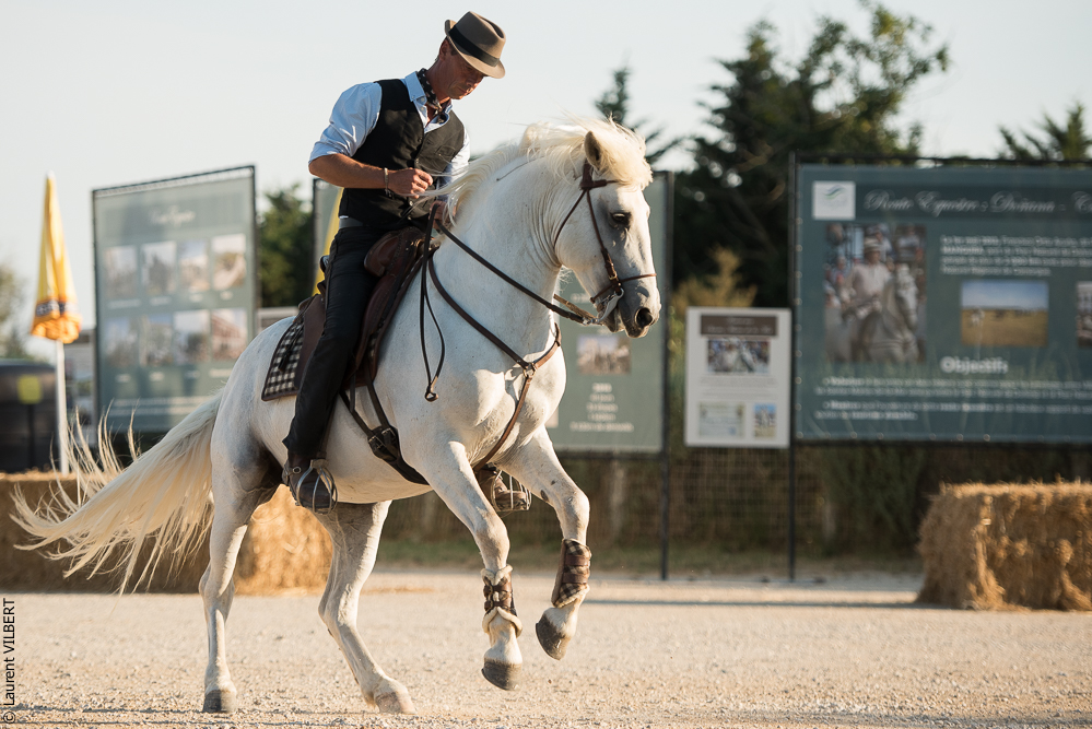 Méjanes 20170721-428
