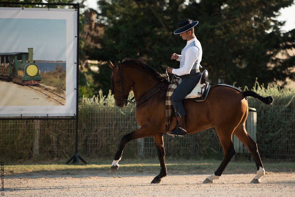 Méjanes 20170721-430