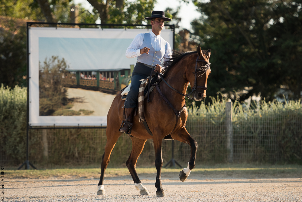 Méjanes 20170721-434