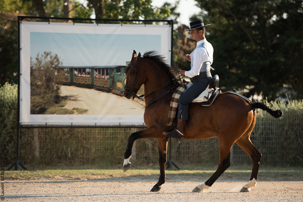 Méjanes 20170721-438