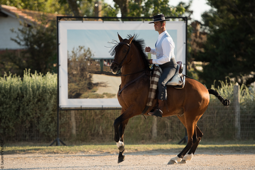 Méjanes 20170721-439