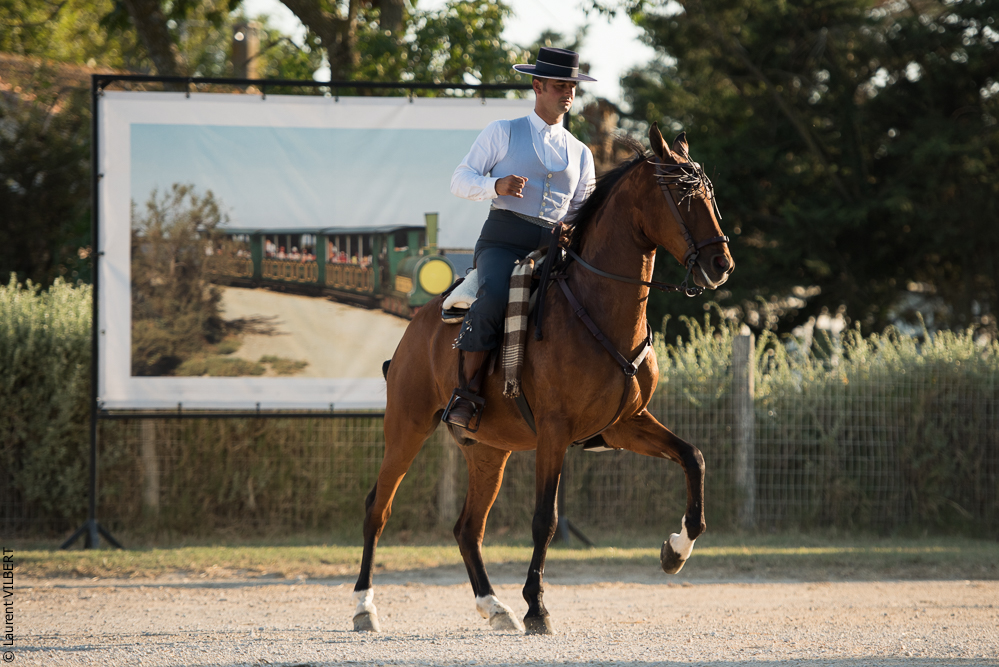 Méjanes 20170721-441