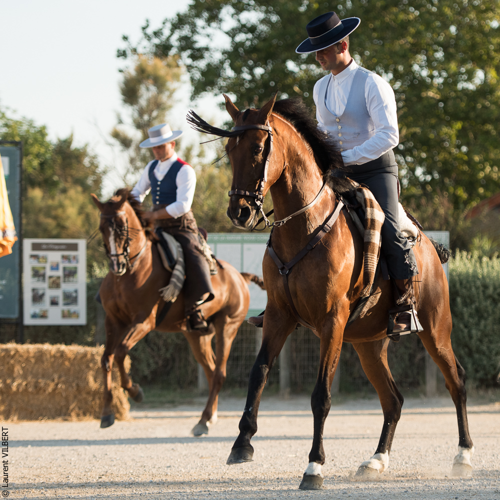 Méjanes 20170721-442