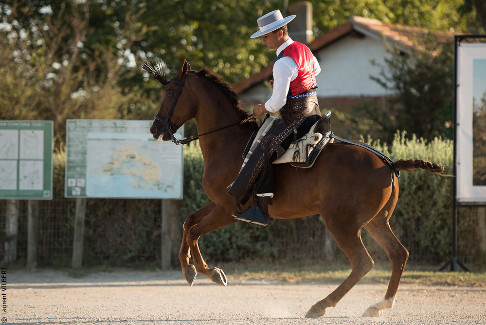 Méjanes 20170721-444