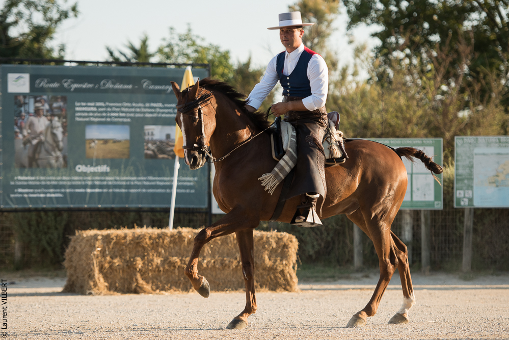 Méjanes 20170721-446