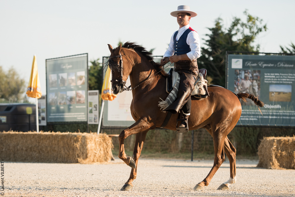 Méjanes 20170721-448