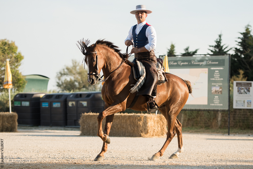 Méjanes 20170721-449